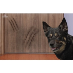 Folia ochronna 152x50cm PET GUARD do drzwi mebli