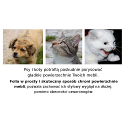 Folia ochronna 152x50cm PET GUARD do drzwi mebli