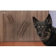 Folia ochronna 152x50cm PET GUARD do drzwi mebli