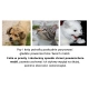 Folia ochronna 152x50cm PET GUARD do drzwi mebli