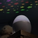 Lampka nocna projektor gwiazdy LED Starlino REER