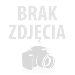 Rowerek biegowy CRUZEE 12